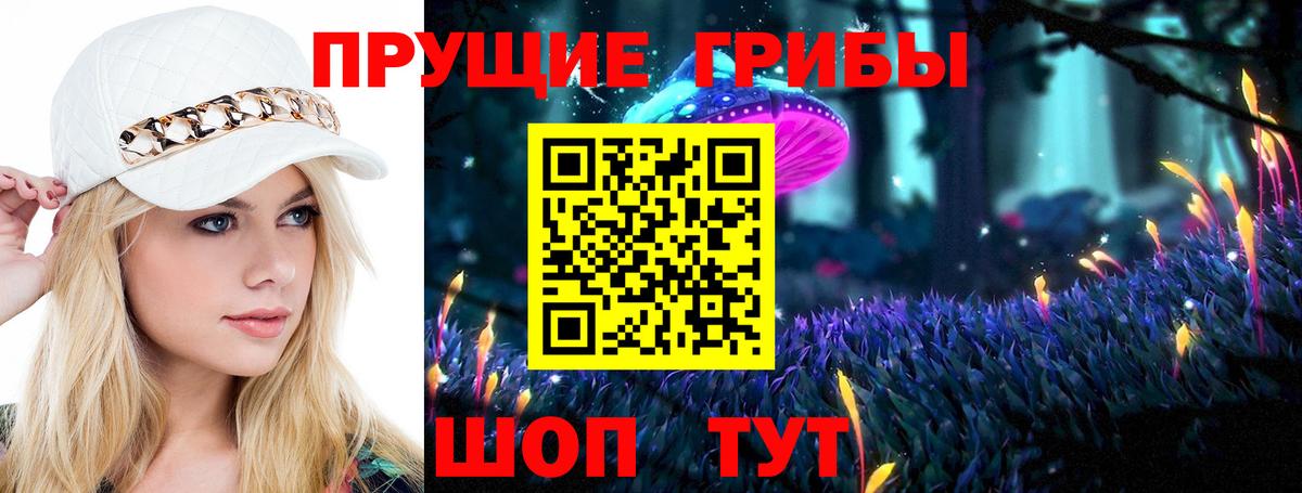 Псилоцибиновые грибы Psilocybine cubensis  Вход с VPN  Чехов 